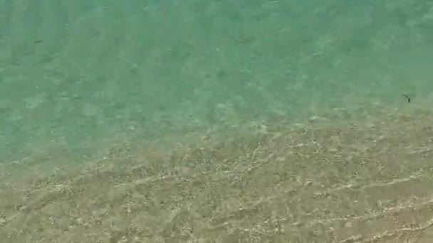 Дневная панорама прекрасного пляжа острова на чистом море с белым песчаным фоном рядом с песчаным баром — стоковое видео