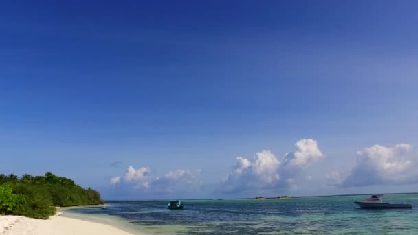 Copia spazio paesaggio di rilassante spiaggia sul mare fauna selvatica da acqua blu oceano e sfondo di sabbia bianca vicino alla barriera corallina — Video Stock