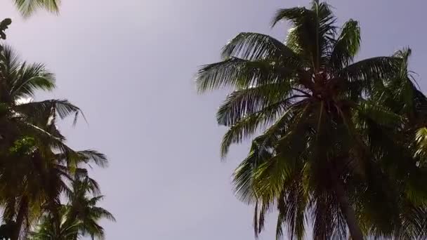 Güneşli körfez sahil gezisi sığ okyanus kıyısında, palmiyelerin yanında beyaz kumlu arka planda. — Stok video