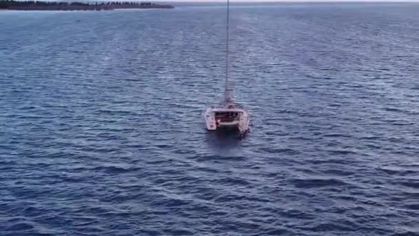 Gros plan panorama des vacances à la plage sur la côte marine par un océan transparent avec fond de sable blanc près des palmiers — Video