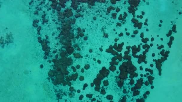 Пустое небо рая на берегу моря путешествие по голубой воде и чистым песчаным фоном рядом с рифом — стоковое видео