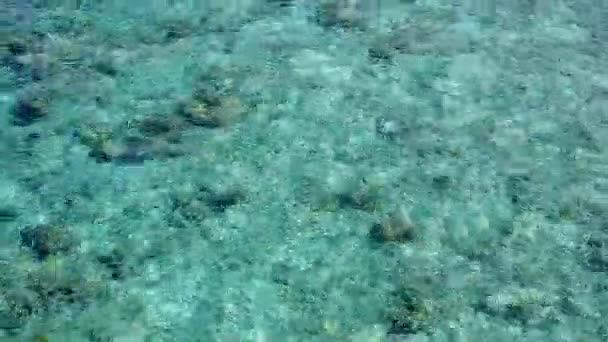 Καλοκαιρινός τουρισμός παραδεισένιου παραλιακού ταξιδιού δίπλα στη γαλάζια θάλασσα με καθαρή αμμώδη φόντο κοντά σε κύματα — Αρχείο Βίντεο