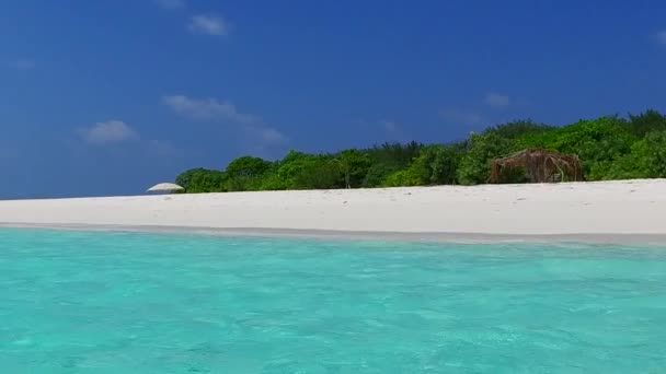 Leeg panorama van luxe lagune strand wilde dieren door blauw water en witte zandachtergrond na zonsopgang — Stockvideo