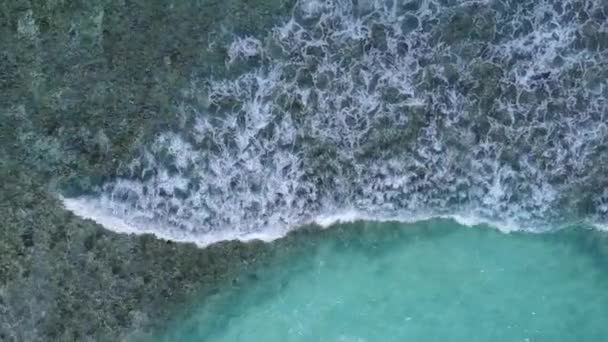 Espaço cópia resumo do resort marinho praia quebrar pelo oceano azul e fundo arenoso branco perto de palmas — Vídeo de Stock