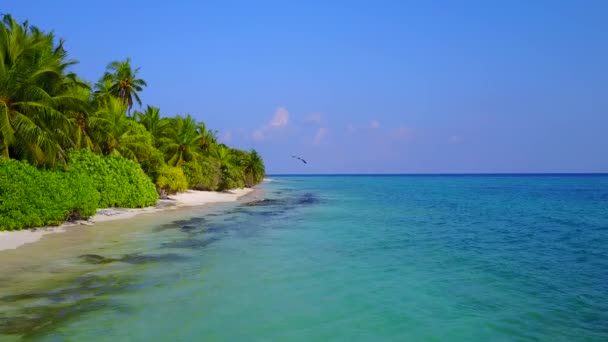 이 국적의 초호 해변이 푸른 바다와 파도 근처의 청명 한 모래로 뒤덮여 있는 아름다운 파노라마 — 비디오
