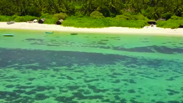 Kopieer ruimte toerisme van zee baai strand reis door helder water en heldere zandachtergrond in de buurt van palmen — Stockvideo