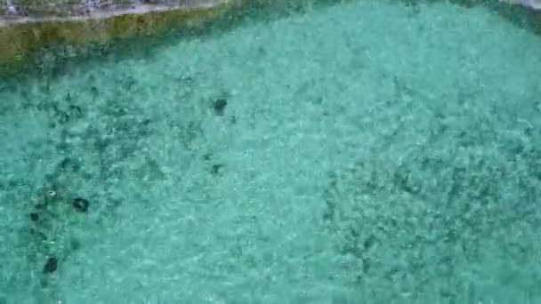 Struttura soleggiata della laguna tropicale spiaggia fauna selvatica dal mare blu con sfondo sabbia pulita vicino alle onde — Video Stock