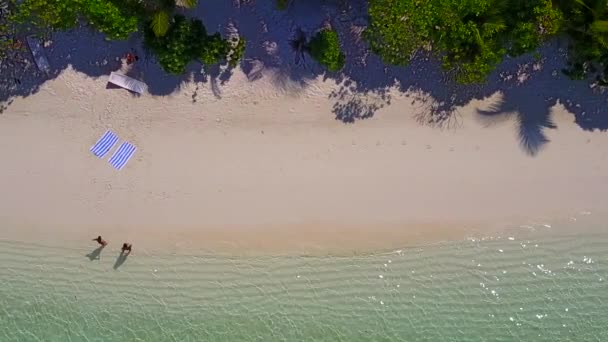 Abstrato ensolarado do estilo de vida perfeito praia litoral por águas rasas e fundo arenoso branco perto de palmas — Vídeo de Stock