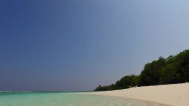 Mükemmel deniz manzaralı romantik gökyüzü berrak okyanus kıyısında vahşi yaşam ve resifin yakınında parlak kum arka planı.