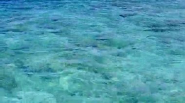 Mavi göl kenarındaki egzotik sahil yaban hayatının gündüz manzarası ve güneş ışığında temiz kum arka planı.