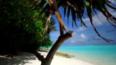 Uzay boşluğunu kopyalayın. Güzel sahil plajı tatili. Mavi su ve palmiyelerin yanındaki beyaz kum arka planı.