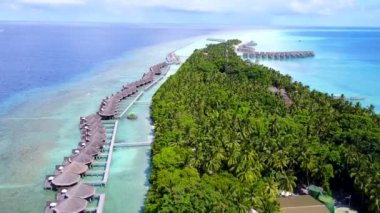 Güneşli sahil seyahatleri mavi göl kıyısında ve palmiyelerin yakınındaki beyaz kum arka planında.