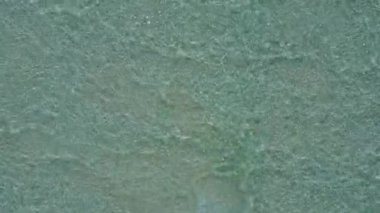 Şeffaf deniz kenarındaki cennet sahili yaban hayatının güneşli turizmi ve dalgaların yanındaki beyaz kum arka planı.