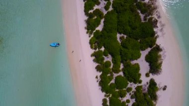 Cennet kıyısı deniz yolculuğunun güneşli soyutlaması mavi yeşil deniz ve palmiyelerin yakınındaki beyaz kumlu arka plan