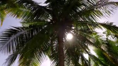 Su mavisi deniz kıyısında sakin sahil turizmi ve güneş ışığında temiz kumlu arka plan