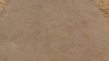 Beyaz kum arka planlı, berrak deniz kıyısındaki sakin lagün yaban hayatının hava aracı manzarası.