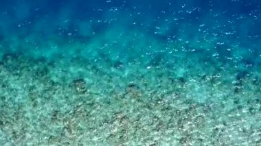 Sahil kenarındaki beyaz kumlu arka planda şeffaf lagünün yanında deniz turistlerinin yaban hayatının yaz gökyüzü