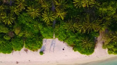 Tropikal sahil yaban hayatının güneş doğduktan sonra temiz kumlu arka planına sahip mavi göldeki geniş açılı seyahati