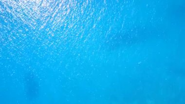 Yaz turizmi. Lüks deniz kıyısı gezisi. Temiz su ve resif yakınlarında parlak kumlu bir zemin.