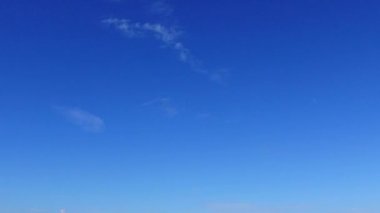 Gün batımından önce deniz kenarındaki cennet sahili yaban hayatının gündüz manzarası ve temiz kum arka planı.