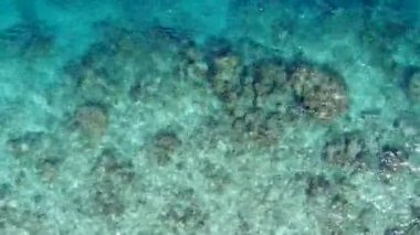 Rahatlatıcı sahilin güneşli manzarası kumsalın yakınındaki parlak kumlu arka planda mavi sulardan kırılıyor.