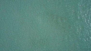 Temiz lagün ve palmiyelerin yakınındaki beyaz kum arka planıyla sakin deniz kıyısı seyahatinin soyutluğunu kapatın.