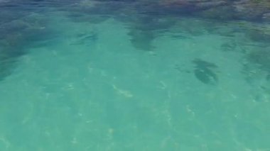 Sahil şeridinin boş deniz manzarası berrak okyanus tarafından kumsala yakın beyaz kumlu arka plan