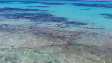 Cennet gibi turistik plaj yaban hayatının doğasını kapatıyoruz. Mavi deniz kıyısında, kumsalın yakınındaki beyaz kumsalda.