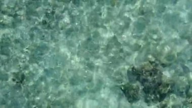Deniz turistlerinin yaz seyahatleri, tatil köyü yakınlarındaki beyaz kumlu mavi deniz kıyısında gerçekleşiyor.