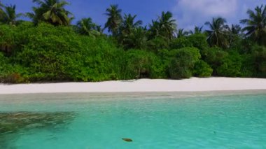 Turkuaz deniz kıyısındaki güzel plaj yaban hayatının romantik manzarası ve kumsalın yakınındaki temiz kum arka planı.