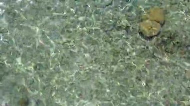 Açık deniz kıyısında, egzotik ada sahili manzarası ve tatil köyü yakınlarında parlak kumlu bir arka plan.