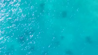 Güneş ışığında beyaz kumlu arka plana sahip sığ lagünün yanında tropikal göl plajı manzarası