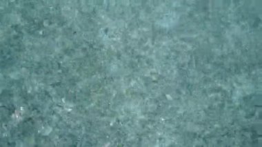 Su mavisi deniz kıyısında güneş ışığı altında beyaz kumlu arka planda sakin sahil tatili kavramını kapatın.