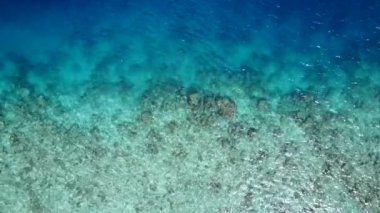 Mavi deniz kıyısındaki tropikal turistlerin güneşli manzarası ve tatil köyü yakınlarında beyaz kumlu bir arka plan.