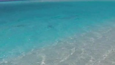 Güzel deniz kıyısı vahşi hayatının güneşli manzarası. Mavi deniz kenarında, kumsalın yanındaki parlak kumlu arka planda.