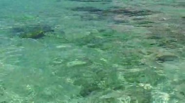 Lüks körfez sahili yaşam tarzını mavi yeşil su ve kumsalın yakınındaki beyaz kum arka planıyla kopyala