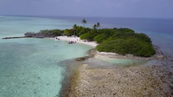 Kopírovat prostor panorama krásného ostrova pláž volně žijících živočichů transparentním oceánem a jasným písečným pozadím v blízkosti písečného břehu — Stock video