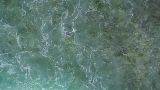 Warme reis van exotische baai strand wilde dieren door blauwe lagune en witte zand achtergrond in de buurt van zandbank — Stockvideo