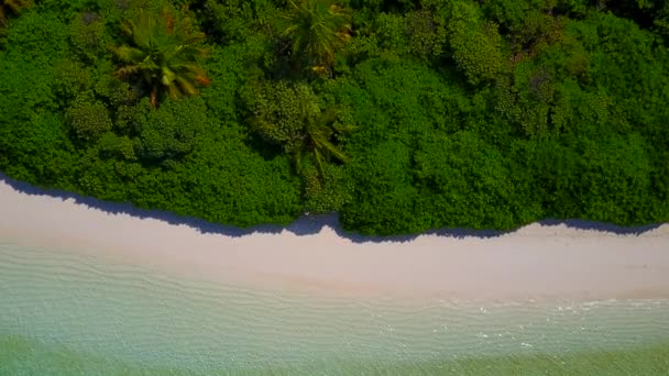 Дневная природа спокойного пляжа на берегу моря поездка голубой лагуны и белый песчаный фон возле пальм — стоковое видео