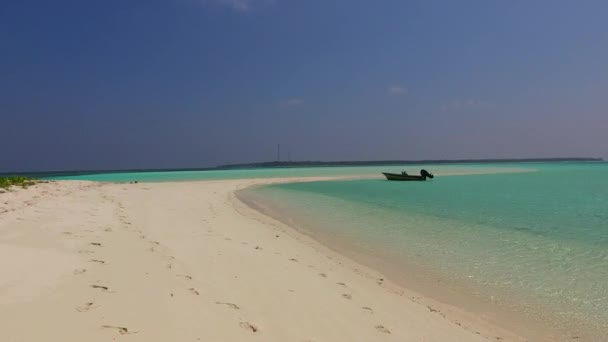 水蓝色泻湖与白沙滩背景下宁静度假海滩野生动物的空中景观结构 — 图库视频影像