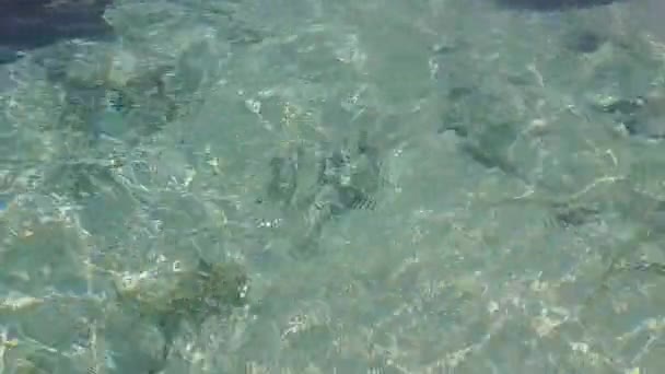 Zonnige textuur van het paradijs toeristische strandvakantie door blauwe zee met witte zandachtergrond in de buurt van zandbar — Stockvideo
