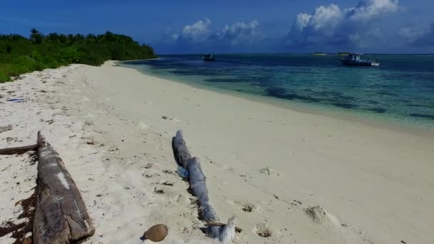 Wide angle travel of tranquil shore beach adventure by transparent water and white sandy background in sunlight — Stock Video