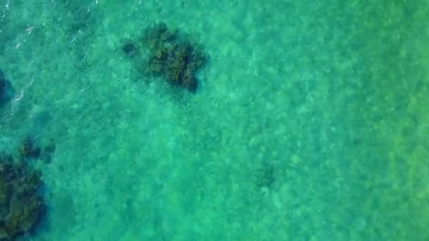 Теплый пейзаж отдыха на пляже залива голубой лагуны с белым песком фоне рядом с пальмами — стоковое видео