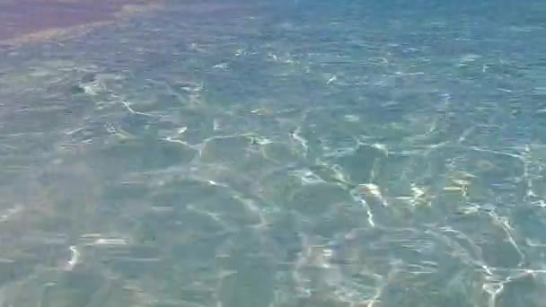 Geniş açılı deniz manzaralı deniz manzaralı deniz kıyısı yaban hayatı deniz mavisi lagün batımından önce beyaz kumlu arka plan — Stok video
