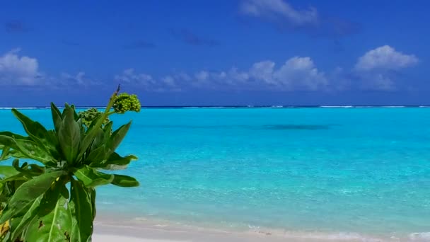 Daytime tourism of tropical shore beach break by blue sea and white sandy background near sandbank — Stock Video