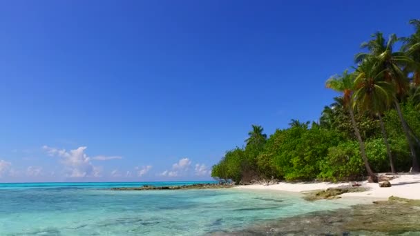珊瑚礁附近白色沙质背景的透明海洋复制美丽的海滨度假空间景观 — 图库视频影像