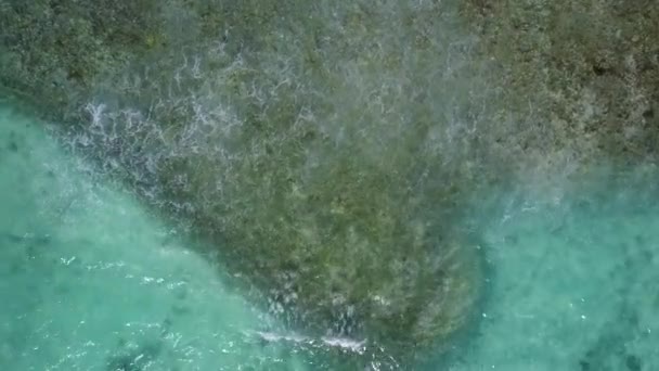 Romantisch toerisme van luxe resort strand fauna door blauw water met wit zand achtergrond in de buurt van zandbar — Stockvideo