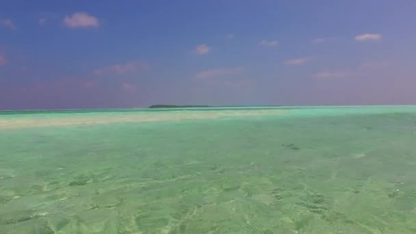 波の近くに浅い水ときれいな砂の背景による豪華な海の景色のビーチトリップの晴れ空 — ストック動画