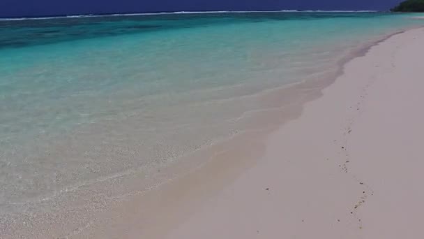棕榈附近蓝水白沙背景下滨海海滩旅游空间景观的复制 — 图库视频影像
