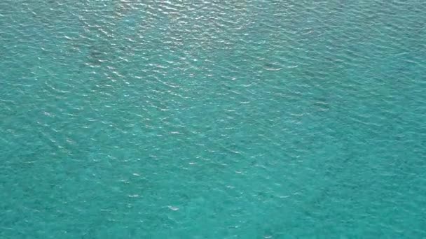 Texture ensoleillée du littoral tropical mode de vie sur la plage par l'océan bleu et un fond sablonneux propre près des palmiers — Video